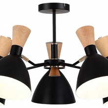 Evoluce Vista SLE1256-402-05 Люстра Италия - фото 1 - фото 2