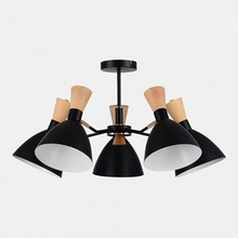 Evoluce Vista SLE1256-402-05 Люстра Италия - фото 1 - фото 4