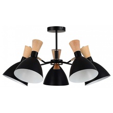 Evoluce Vista SLE1256-402-05 Люстра Италия - фото 1 - фото 1