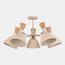 Evoluce Vista SLE1256-502-05 Люстра Италия - фото 1 - фото 4