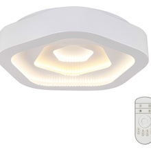 Fametto Nimfea UL-00003930 Потолочный светильник Китай - фото 1 - фото 3