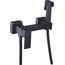 Fashun A57504-17 С гигиеническим душем Графит Смеситель 11,5x20,9x16,45 см, для биде, Китай - фото 1