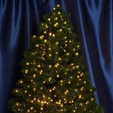 Feron Cl09 48178 Гирлянда Китай - фото 1 - фото 1