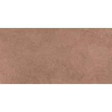 Flaviker PI.SA Midi PF60021172 Nature Terre Nat R Керамогранит 60x120 см, Италия, под камень  - фото 1 - фото 1