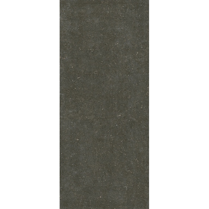 Florim Rinascenza 785573 Arena Platino Matte R10 B Керамогранит 120x280 см, Италия - фото 1 Florim Rinascenza 785573 Arena Platino Matte R10 B Керамогранит 120x280 см, Италия - фото 1