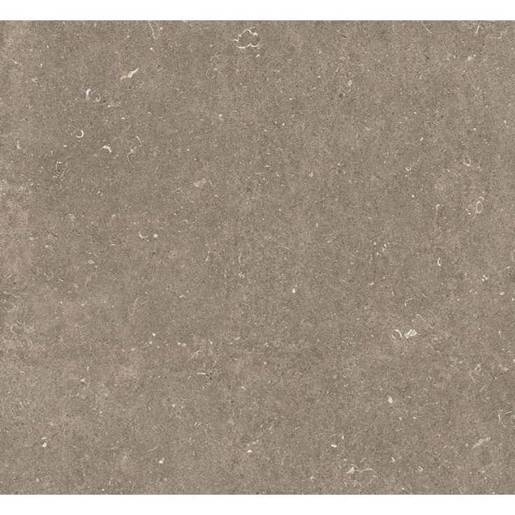 Florim Rinascenza 785486 Arena Pietra Antico Matte Керамогранит 60x60 см, Италия, под камень - фото 1 Florim Rinascenza 785486 Arena Pietra Antico Matte Керамогранит 60x60 см, Италия, под камень - фото 1