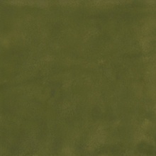 Florim SensiColore 785997 Muschio Glossy Настенная плитка 11,6x11,6 см, Италия, ничего - фото 1 - фото 1