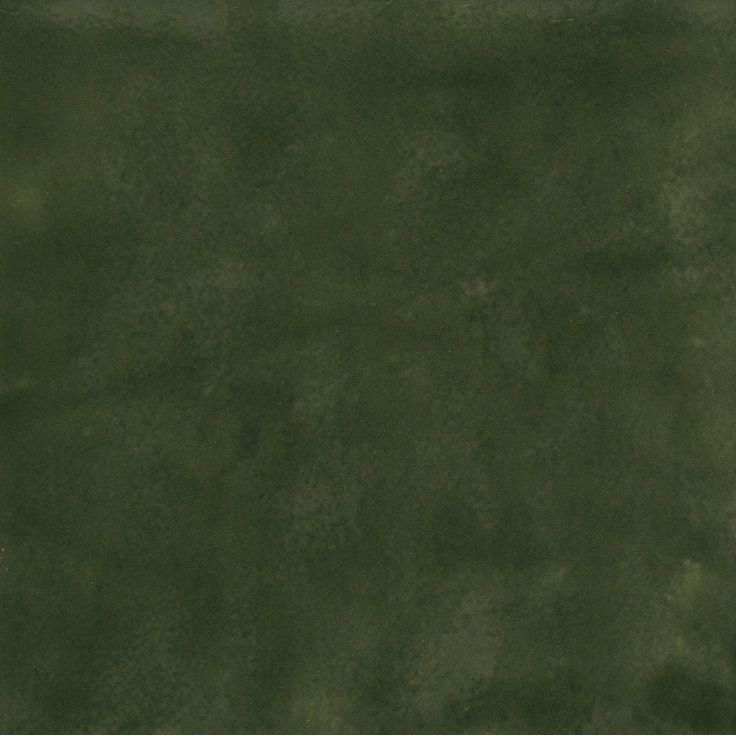 Florim SensiColore 785998 Bosco Glossy Настенная плитка 11,6x11,6 см, Италия, ничего - фото 1