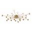 Freya Celebrity FR5242CL-24BS Люстра потолочная Германия - фото 3