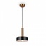 Freya Izza FR4008PL-01BBS Светильник Германия - фото 2