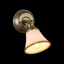 Freya Jasinta FR2272-WL-01-BS Бра 20x11,2x10,5 см, Германия - фото 1 - фото 4