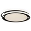 Freya Lisoa FR10031CL-L98B Светильник 50x45x6 см, Германия - фото 2