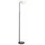 Freya Mallow FR5228FL-01B Торшер 22x145 см, Германия - фото 1