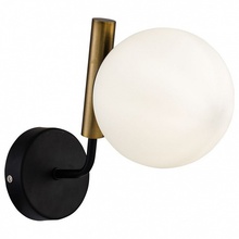 Freya Paolina FR5011WL-01B Бра 25x14x21 см, Германия - фото 1 - фото 1