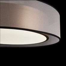Freya Zoticus FR6005CL-L36G Светильник Германия - фото 1 - фото 4