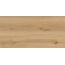 GlobalTile Woody GT5010026902MCR Бежевый Керамогранит 50x100 см, Россия, под дерево - фото 1