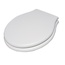 Globo Paestum PS20RB С микролифтом Белый Дуб/Хром Крышка-сиденье 42x37x5 см, Италия - фото 1