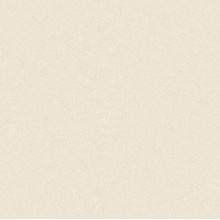 Grandeco Special Edition 2 W224012 Под штукатурку Виниловые обои 1005x106 см, цвет: бежевый, Бельгия - фото 1 - фото 1