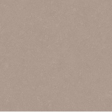 Grandeco Special Edition 2 W224018 Под штукатурку Виниловые обои 1005x106 см, цвет: коричневый, Бельгия - фото 1 - фото 1