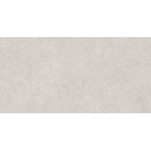 Granoland X2 N60028 Northstone White 2 cm Керамогранит 60x120 см, Индия, под камень  - фото 1 - фото 1