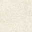 Grespania Fosil 82F235R Bone Rec Керамогранит 60x60 см, Испания, под камень  - фото 6