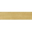 Harmony Samira 43829 Gold Керамогранит 6x24,6 см, Испания - фото 8 Harmony Samira 43829 Gold Керамогранит 6x24,6 см, Испания - фото 8