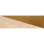 Harmony Siena 45019 Caramel Decor Настенная плитка 6,4x22,3 см, Испания, под кирпич - фото 1 Harmony Siena 45019 Caramel Decor Настенная плитка 6,4x22,3 см, Испания, под кирпич - фото 1