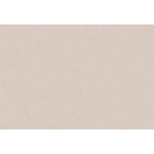 Hygge Made in Russia MIR5 004 Под штукатурку Флизелиновые обои 1005x100 см, цвет: бежевый, Россия - фото 1 - фото 1