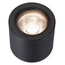 ILedex Metrica 113-12W-D100-3000K-24DG-BK Потолочный светильник Россия - фото 2