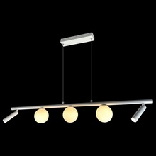 ILedex Telescope C4774-100 SWH Потолочный светильник 100x10x15 см, Россия - фото 1 - фото 2