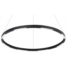 ILedex Vision 2063-D800 BK Потолочный светильник Россия - фото 1 - фото 1