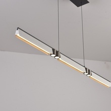 ILedex Vision 9309D-1200-2 WH+BK Потолочный светильник 120x2x150 см, Россия - фото 1 - фото 3