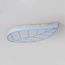 Imperiumloft Chit CHIT01 Потолочный светильник 80x43x6 см, Россия - фото 1