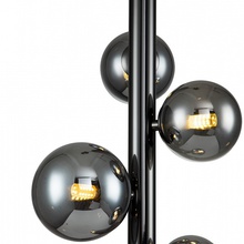 Indigo Canto 11026/5P Black Люстра подвесная Россия - фото 1 - фото 4