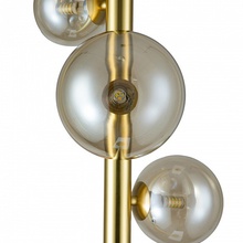 Indigo Canto 11026/4F Gold Торшер Россия - фото 1 - фото 3