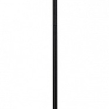 Indigo Charme 13016/1F Black Торшер Россия - фото 1 - фото 2