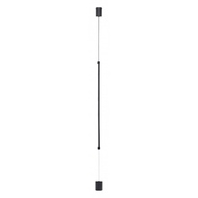 Indigo Linea 14024/A/1P Black Светильник Россия - фото 1 - фото 1