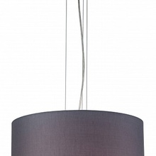 Indigo Nebbia 13020/1P Nickel Потолочный светильник Россия - фото 1 - фото 3