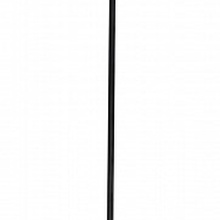 Indigo Pallo 10011/1P Gold Светильник Россия - фото 1 - фото 3