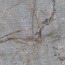 Italica 120x120 Instinto Natural Steel Polished 28 Керамогранит 120x120 см, Индия, под камень  - фото 2