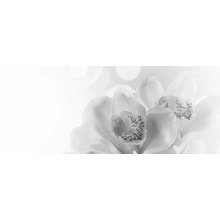 Керамин Элегия 7 тип-1 20х50 Панно 20x50 см, Беларусь - фото 1 - фото 1