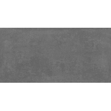 Laparet Betonica Graphito Pro Графитовый  Матовый R11 Керамогранит 60x120 см, Индия, под бетон  - фото 1 - фото 1