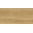 Laparet Dorian LP6012G0821R8 Янтарный Матовый Керамогранит 59,5x119,1 см, Индия, под дерево - фото 4