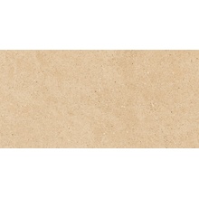 Laparet Freestone LP6012G0941R8 Санд Бежевый Матовый R10 Керамогранит 59,5x119,1 см, Индия, под камень  - фото 1 - фото 1
