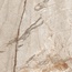 Laparet Pulsar Beige Карвинг Керамогранит 80x80 см, Индия, под камень  - фото 3