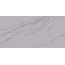 Laparet Solo LP6012G0571R Argento глянцевые чернила Керамогранит 59,5x119,1 см, Индия - фото 7