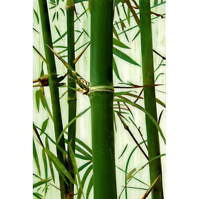 Декор из бамбука в саду - 56 фото