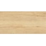 LCM Liam 60120LAM11M Light Керамогранит 60x120 см, Индия, под дерево - фото 1
