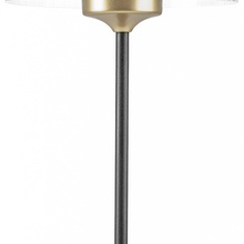 Lightstar Acrile 738973 Настольная лампа декоративная Италия - фото 1 - фото 3