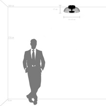 Lightstar Celesta 809200 Потолочный светильник Италия - фото 1 - фото 3